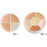 Ben Nye Professional Concealer Makeup Conceal-All Wheels - Make It Up Costumes 