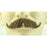 Fake Ambassador Mustache CM4 - Make It Up Costumes 