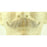 Fake Ambassador Mustache CM4 - Make It Up Costumes 