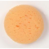 Graftobian Face Painting Sponge - Make It Up Costumes 