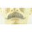 Fake European Mustache - 100% Human Hair - Make It Up Costumes 