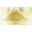 Fake Walrus Mustache 2014 - 100% Human Hair - Make It Up Costumes 
