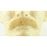 Basic Fake Mustache 2015 - 100% Human Hair - Make It Up Costumes 
