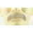 Basic Fake Mustache 2015 - 100% Human Hair - Make It Up Costumes 