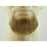 Fake Goatee Beard 2022 - 100% Human Hair - Make It Up Costumes 