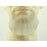 Fake Goatee Beard 2022 - 100% Human Hair - Make It Up Costumes 