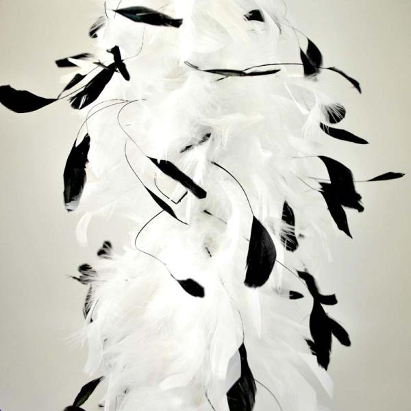 Chandelle Feather Boas with Coque Feathers - Make It Up Costumes 